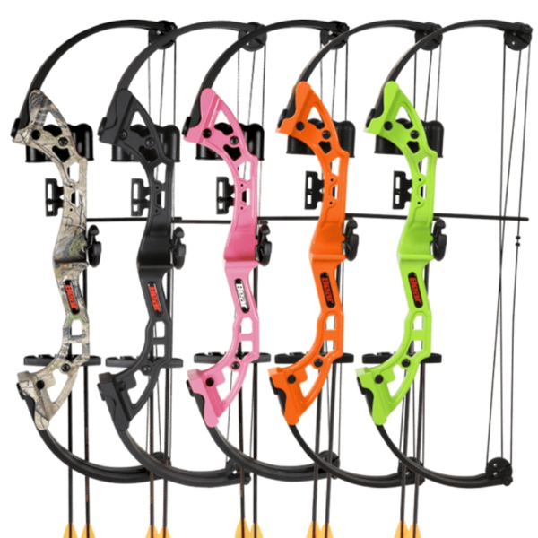 bear archery compound bow case
