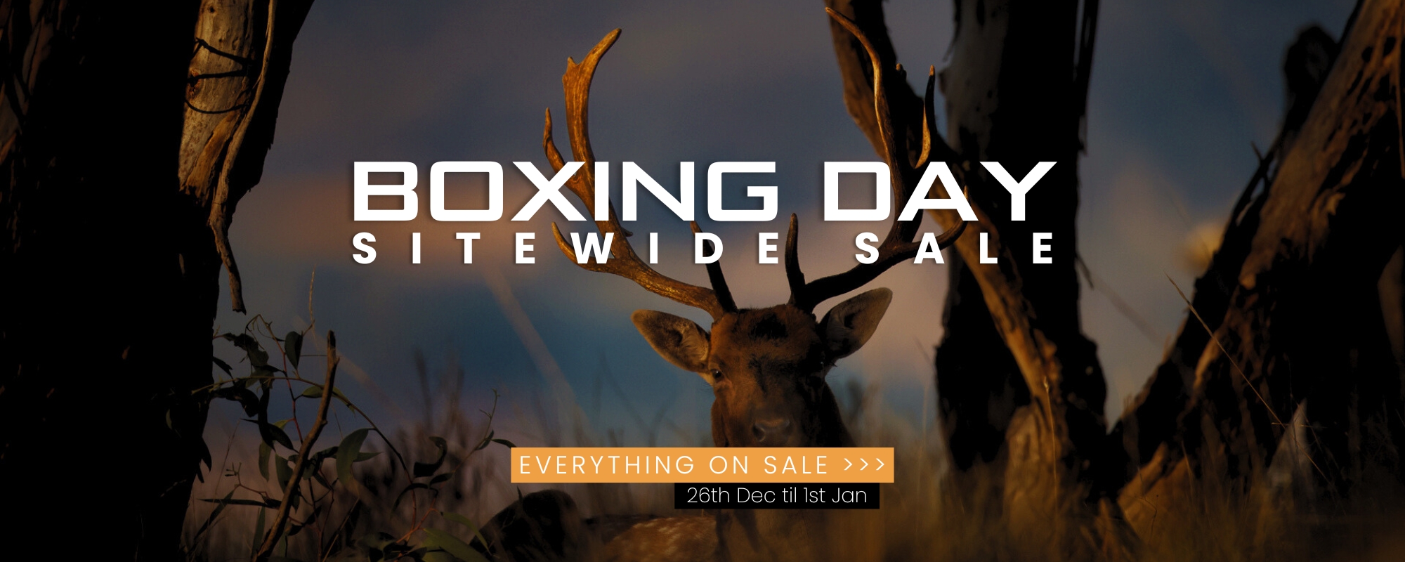 Boxing Day Wide