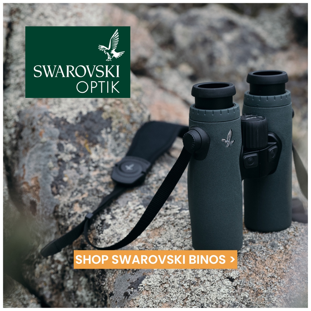 Swarovski Optik SQ