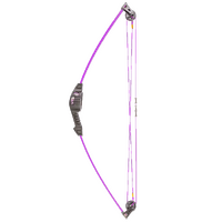 Bear Spark Youth Compound Bow / Purple